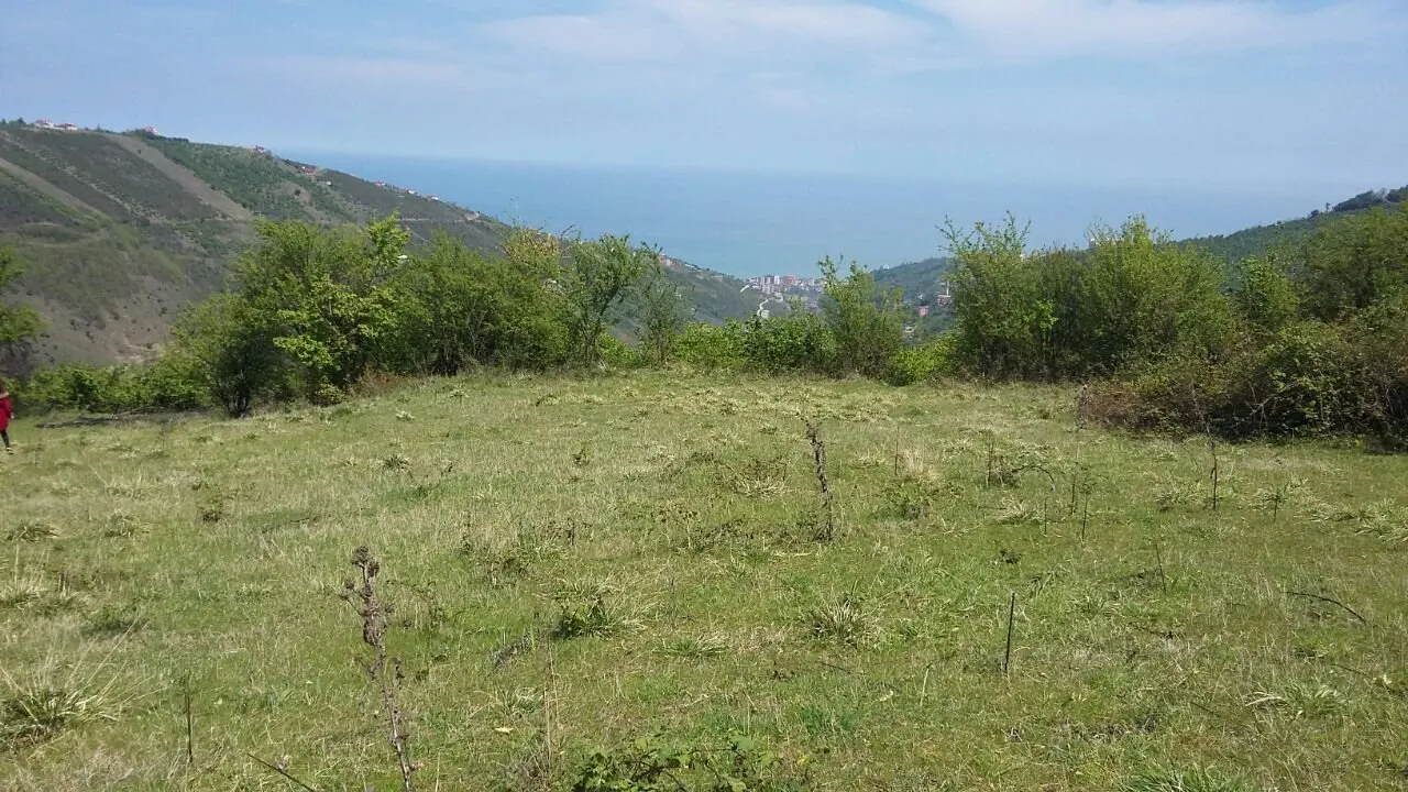 TRABZON AKÇAABAT İLÇESİNDE TURİZM İMARLI ARSA