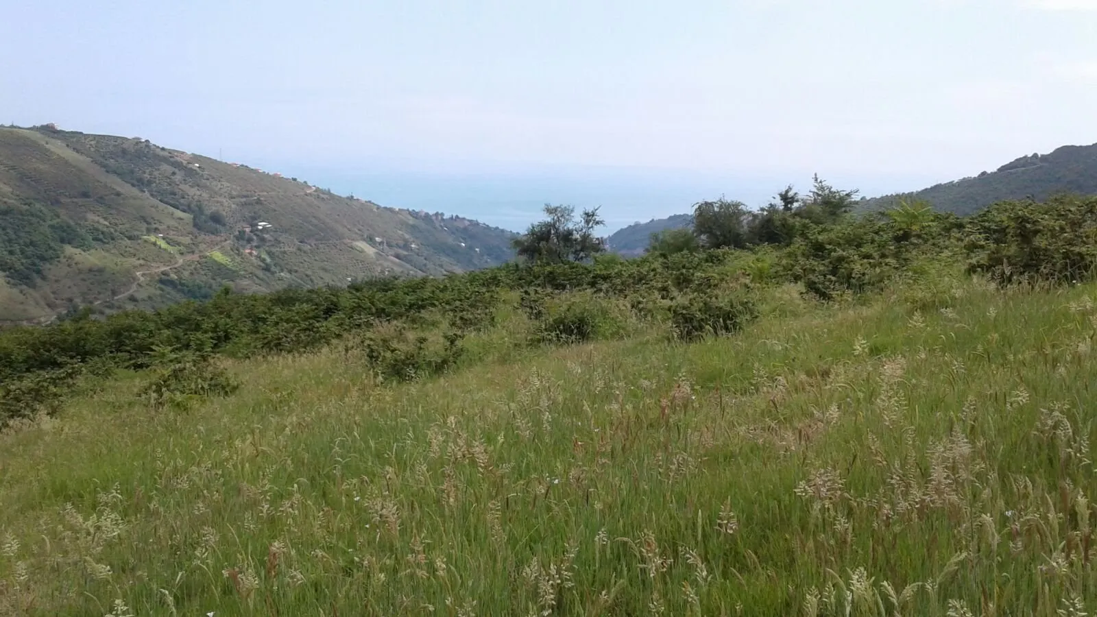 TRABZON AKÇAABAT İLÇESİNDE TURİZM İMARLI ARSA — görsel 9