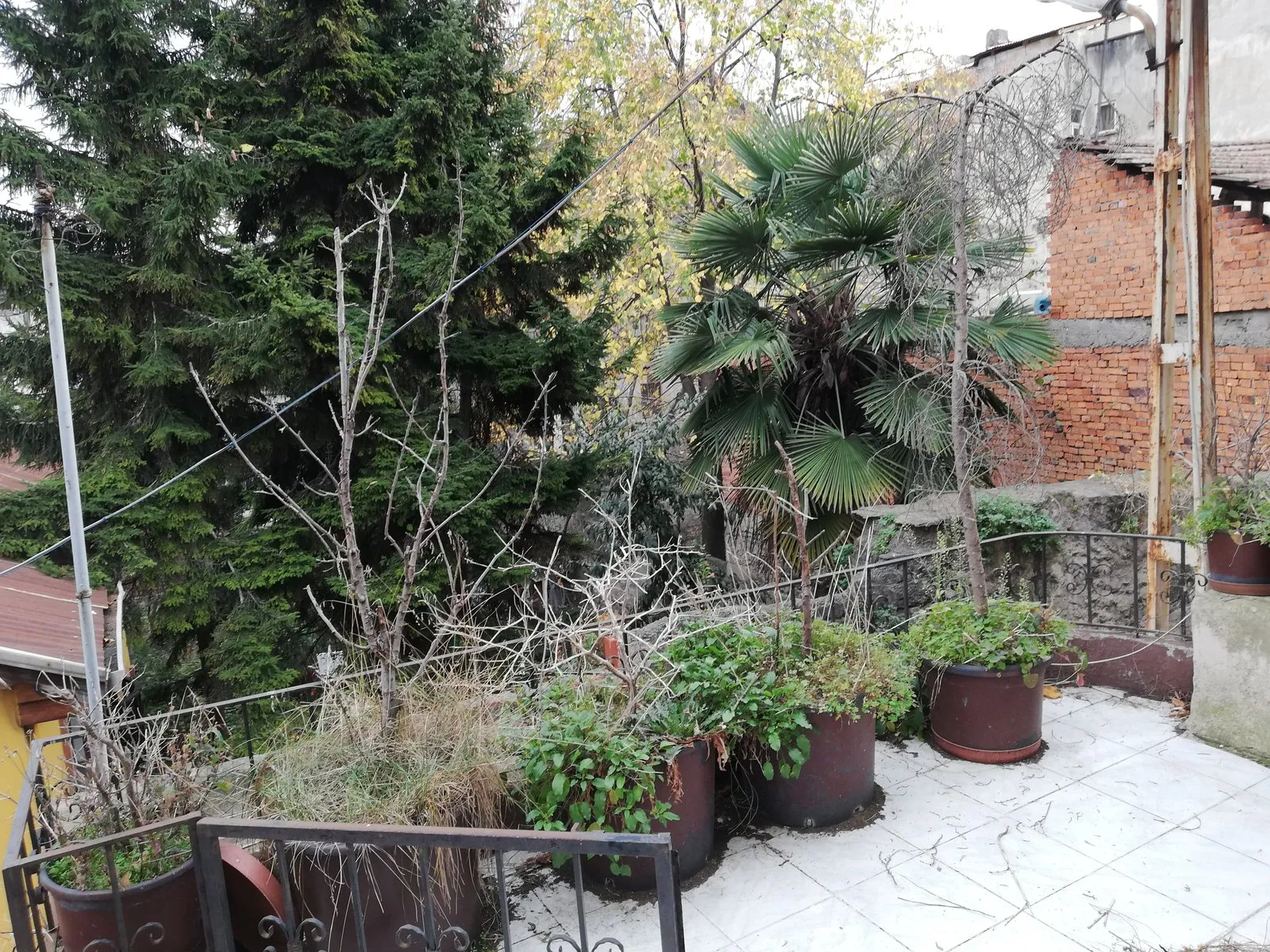 TRABZON ORTAHİSAR da VARLIBAŞ / BÜYÜKŞEHİR BELEDİYE YANINDA SATILIK TARİHİ 4 KATLI BAHÇELİ KÖŞK , HERYER YIKILACAK BU KÖŞK KALACAK — görsel 28