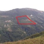 IMG-20190701-WA0003