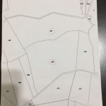 IMG-20190701-WA0006