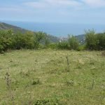 IMG-20190701-WA0008