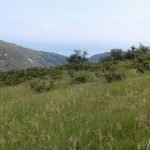 IMG-20190701-WA0009