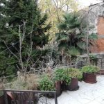 IMG_20191225_123118